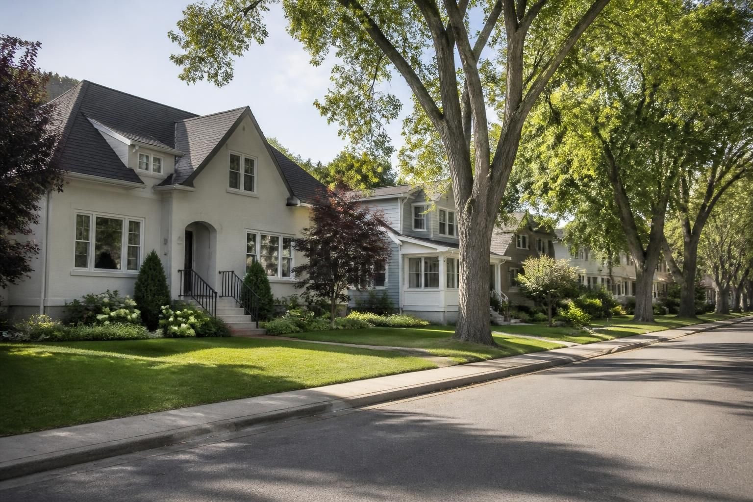 Welcoming residential street with mature trees and well-kept homes.